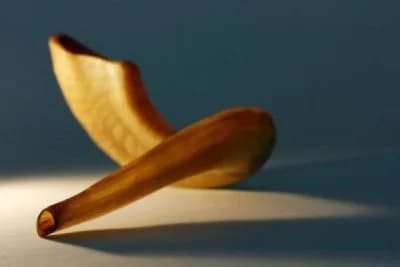 כתבה: תל אביבים, בואו תעשו כיפור | Nrg מעריב